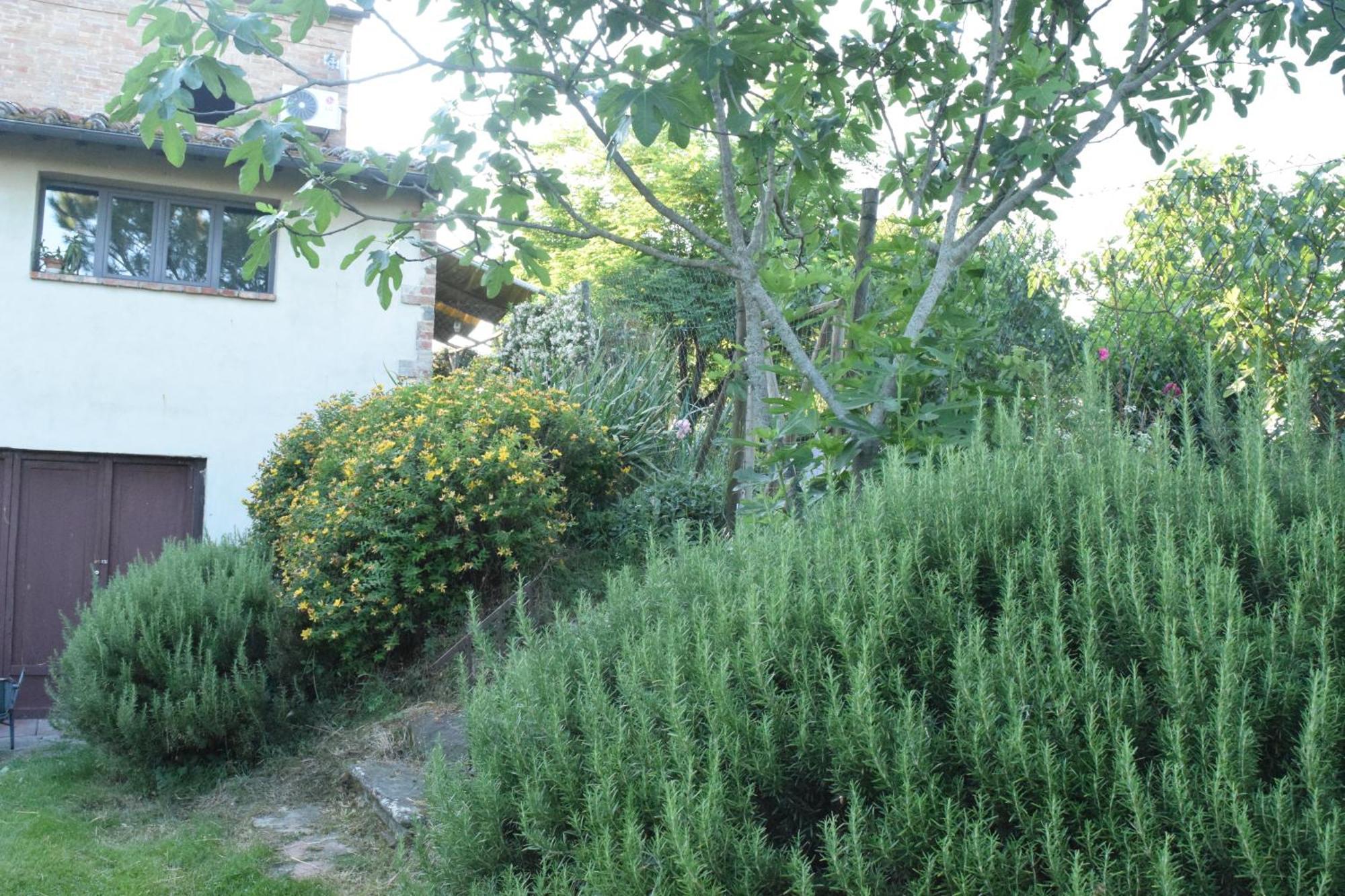 Villa Il Saragio à Abbadia di Montepulciano Extérieur photo