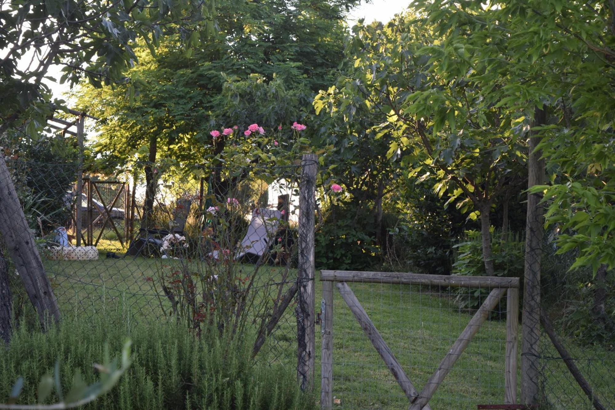 Villa Il Saragio à Abbadia di Montepulciano Extérieur photo
