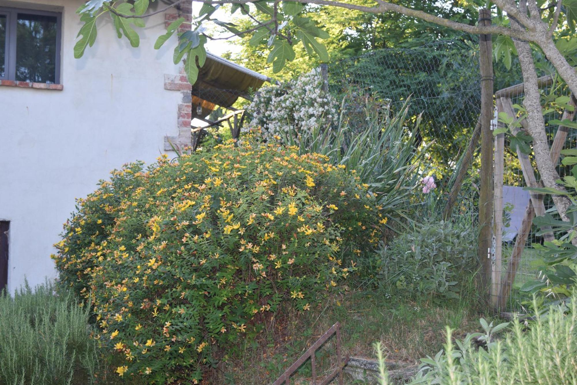 Villa Il Saragio à Abbadia di Montepulciano Extérieur photo