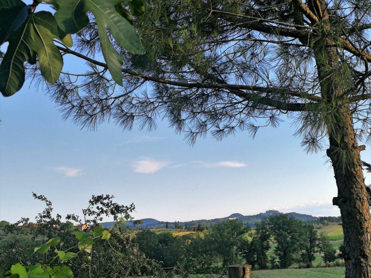 Villa Il Saragio à Abbadia di Montepulciano Extérieur photo